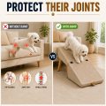 Easy Climb Dog Ramp & Footstool