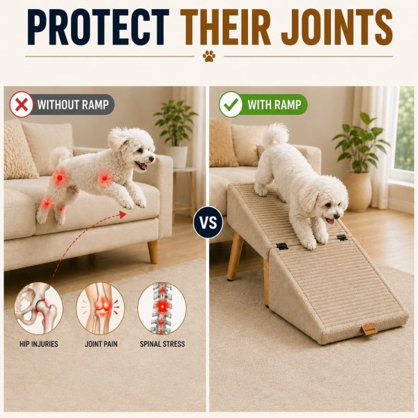 Easy Climb Dog Ramp & Footstool