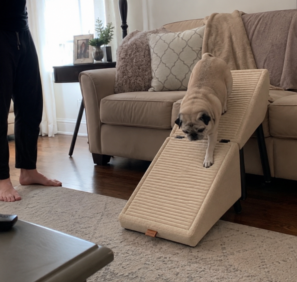 Image #1 from Pug Mom