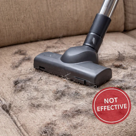 Rubber brush on pet hair