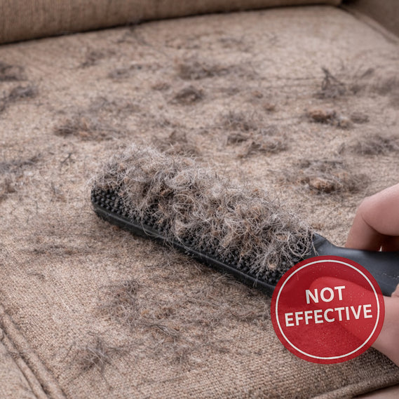 Vacuum cleaner on pet hair