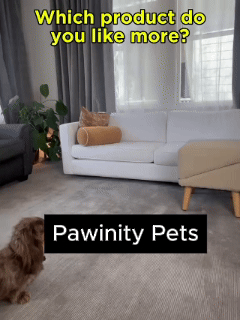 Furniture That Works For Both You & Your Dog